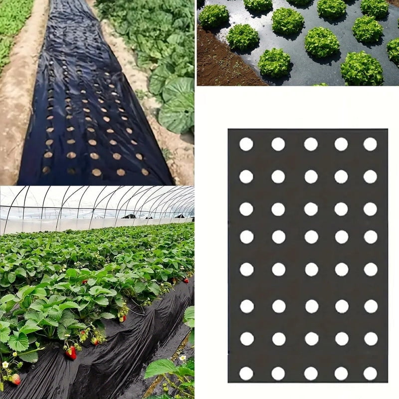 5 Holes Black Plastic Mulch Film for Agricultural Vegetable Film Plant Plastic Film Perforated PE Film for Garden Plant Mulch Membrane
